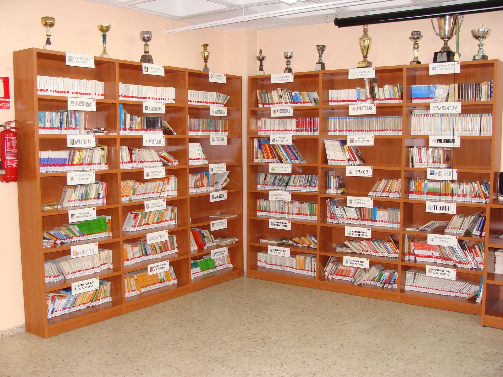 La Biblioteca de Pinocho: Organización Biblioteca