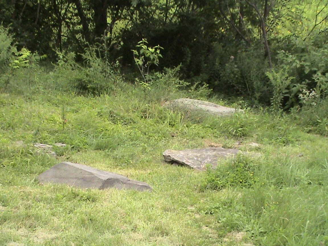 A Native Backyard: Moving Rocks-Boulders?