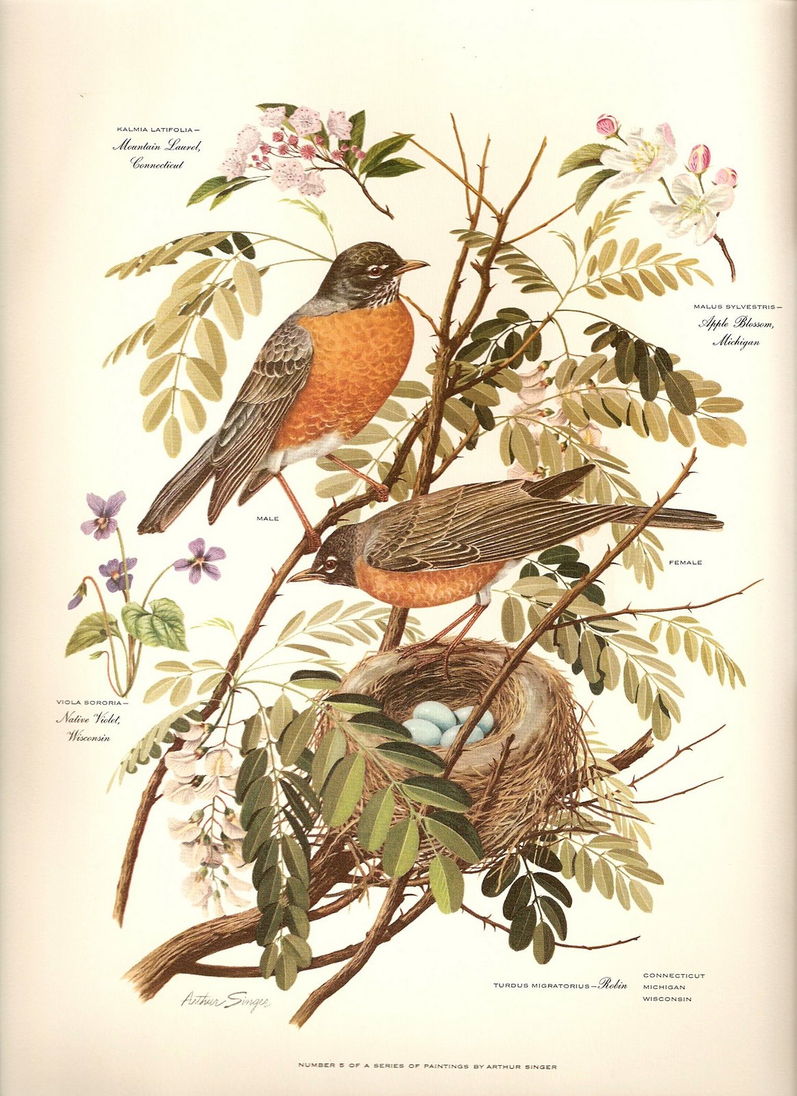 [ScannedImage-7.jpg]