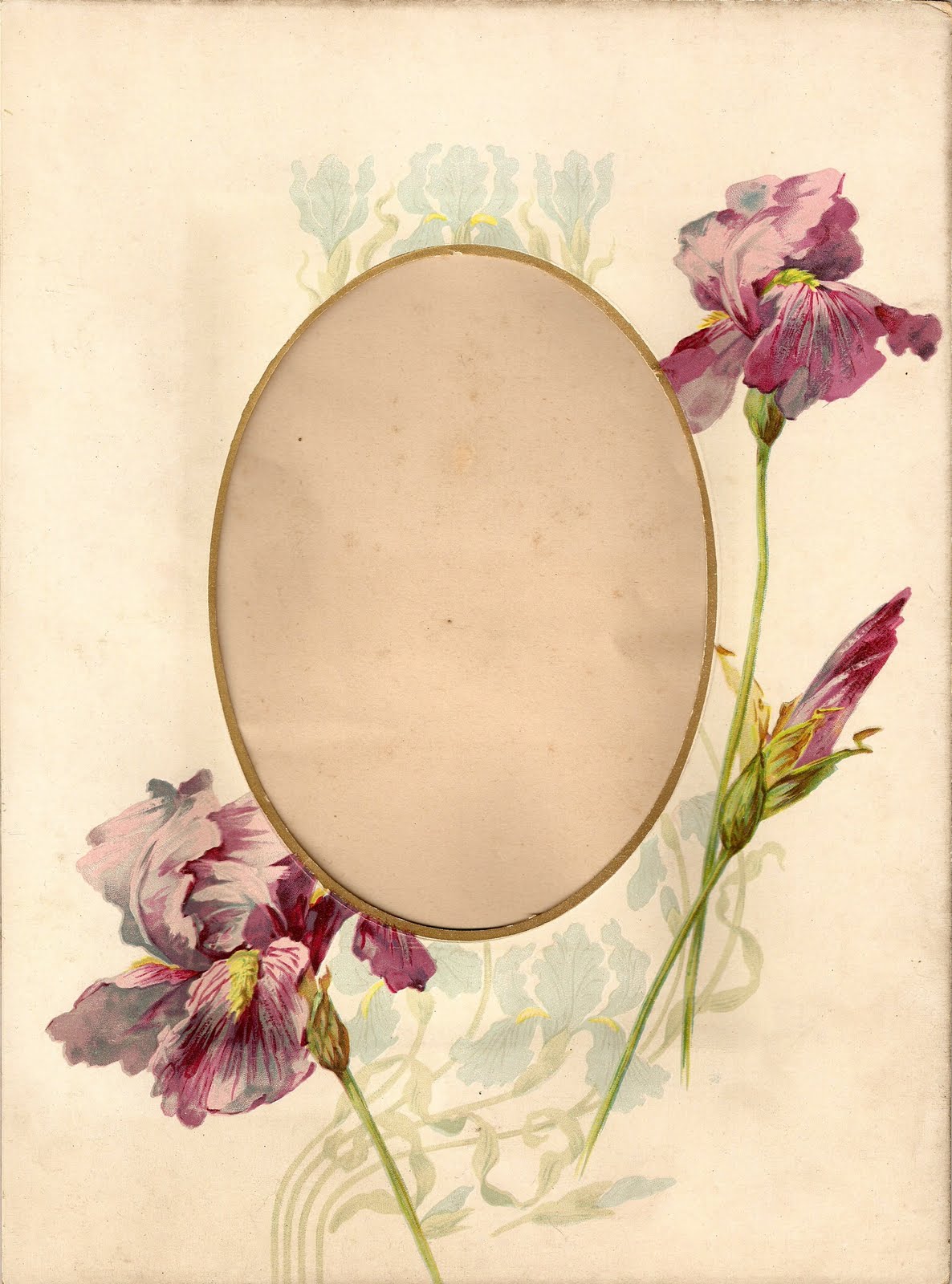 [ScannedImage-3.jpg]