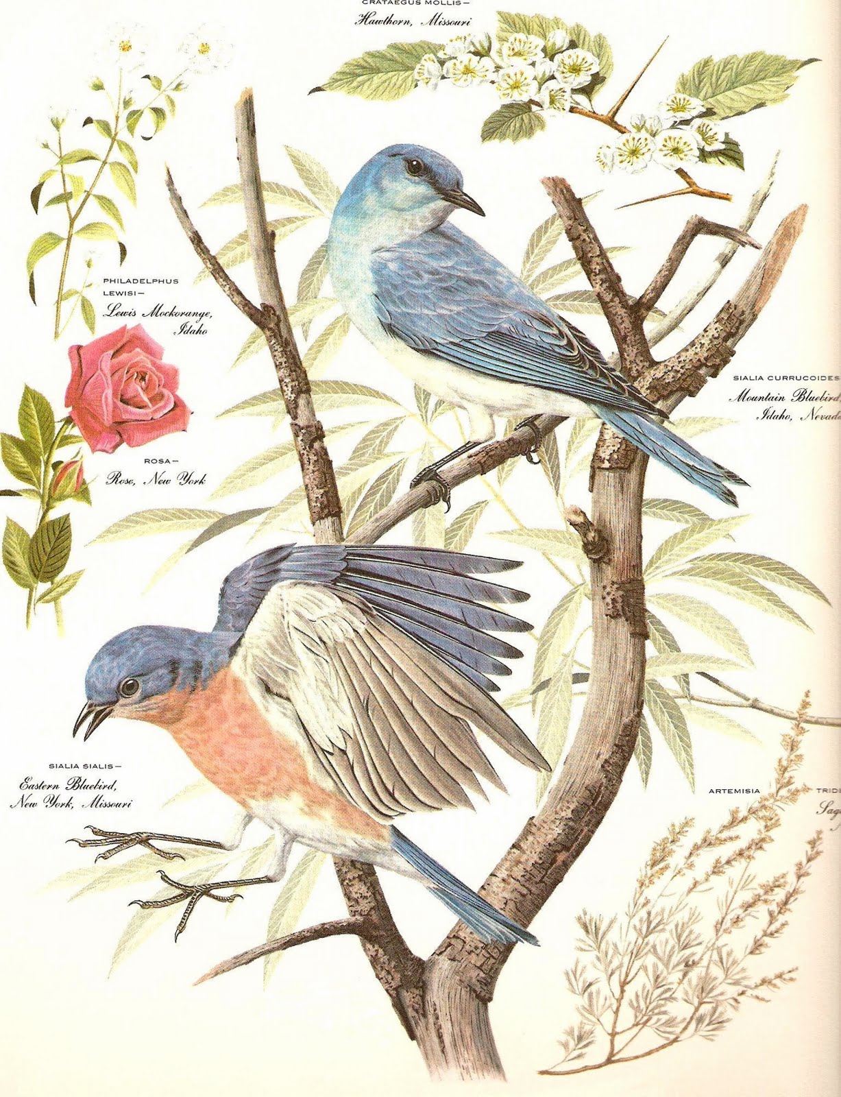 [ScannedImage-17.jpg]