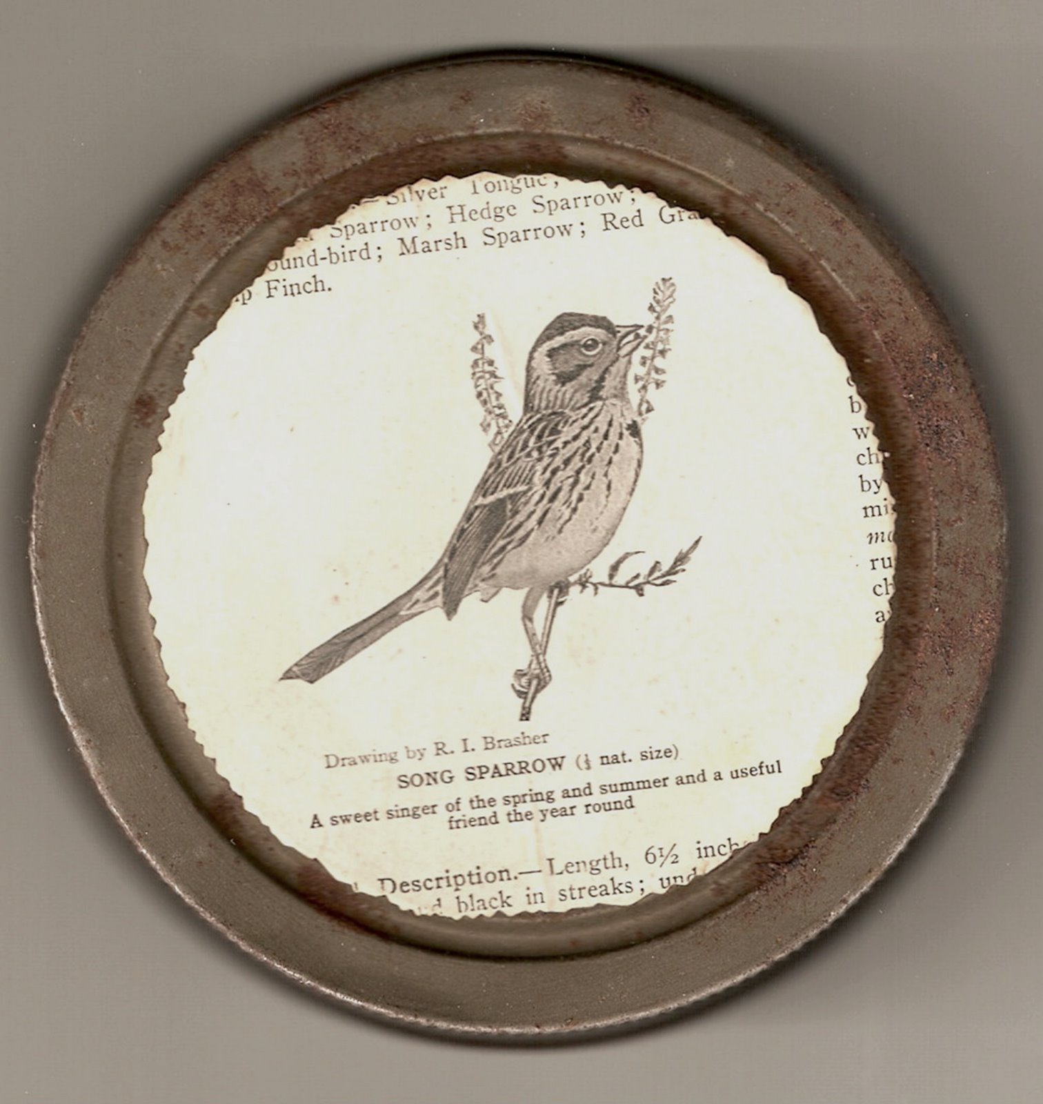 [ScannedImage-22.jpg]