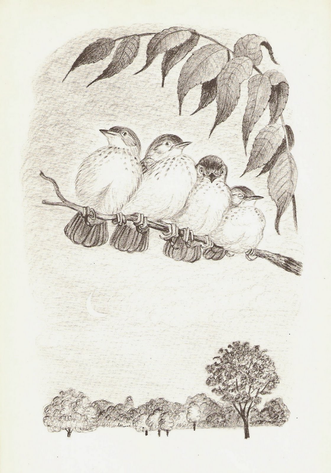 [ScannedImage-23.jpg]