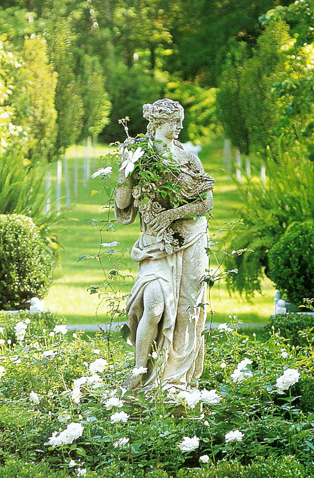 [ScannedImage-24.jpg]