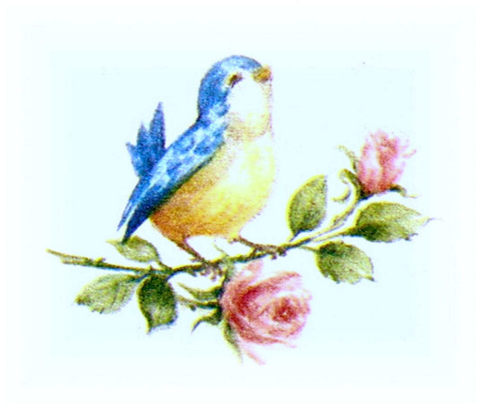 [ScannedImage-42.jpg]