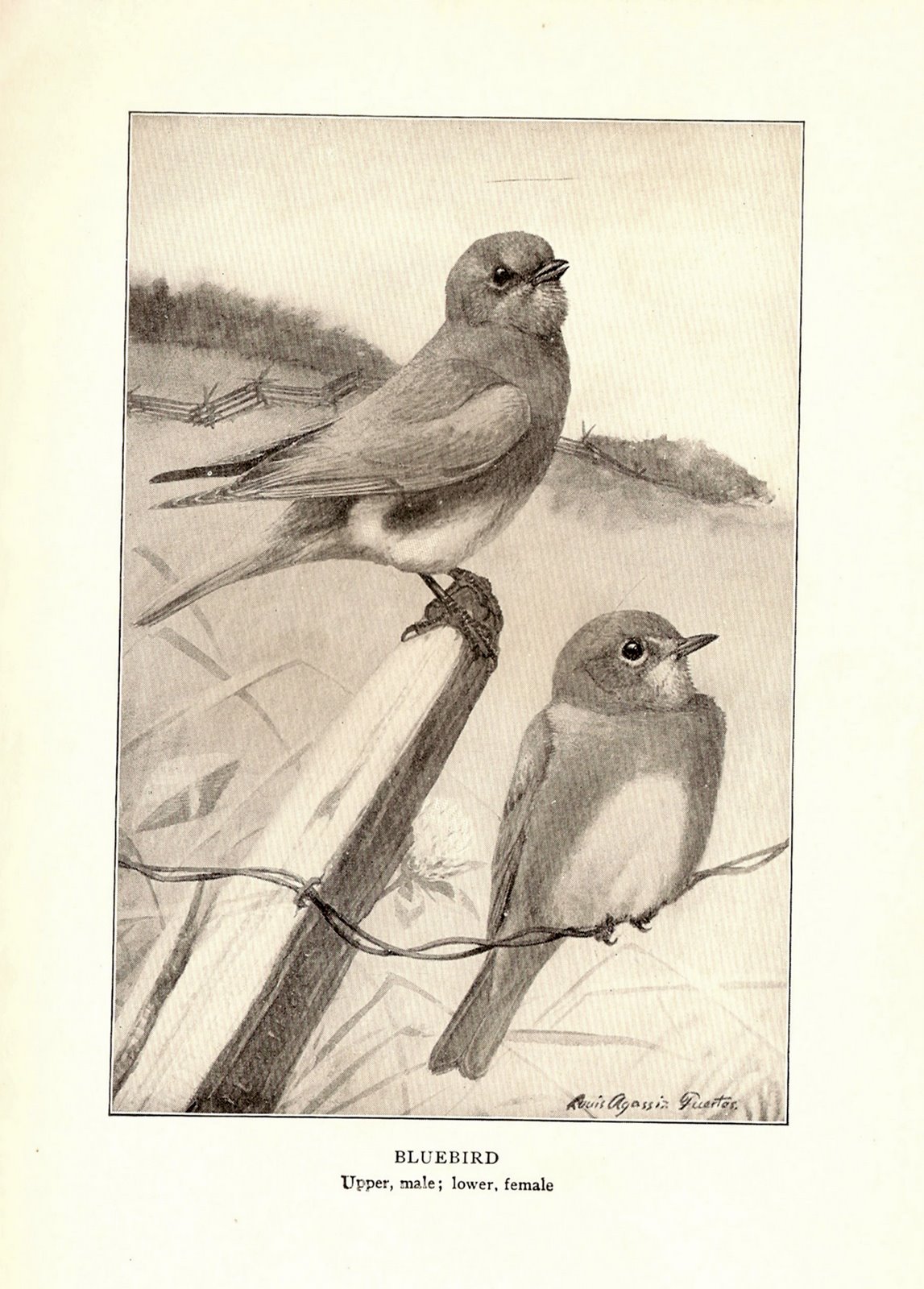 [ScannedImage-18.jpg]