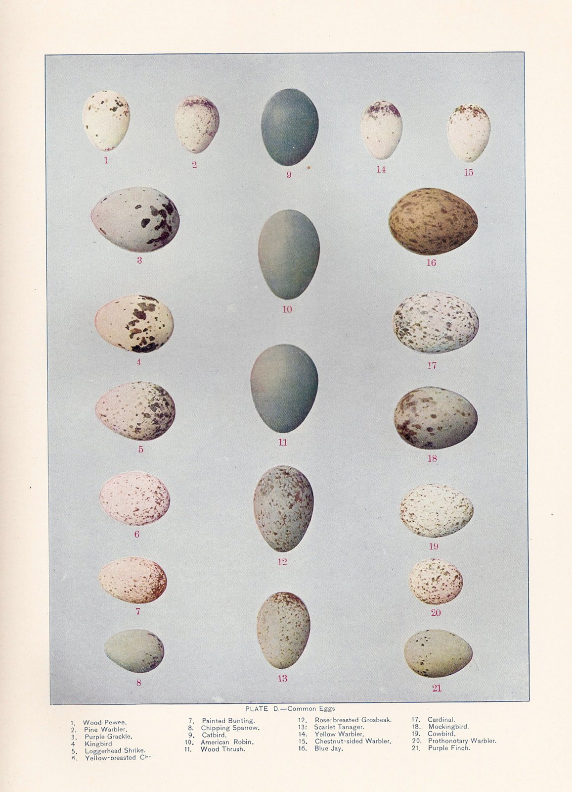 [ScannedImage-19.jpg]