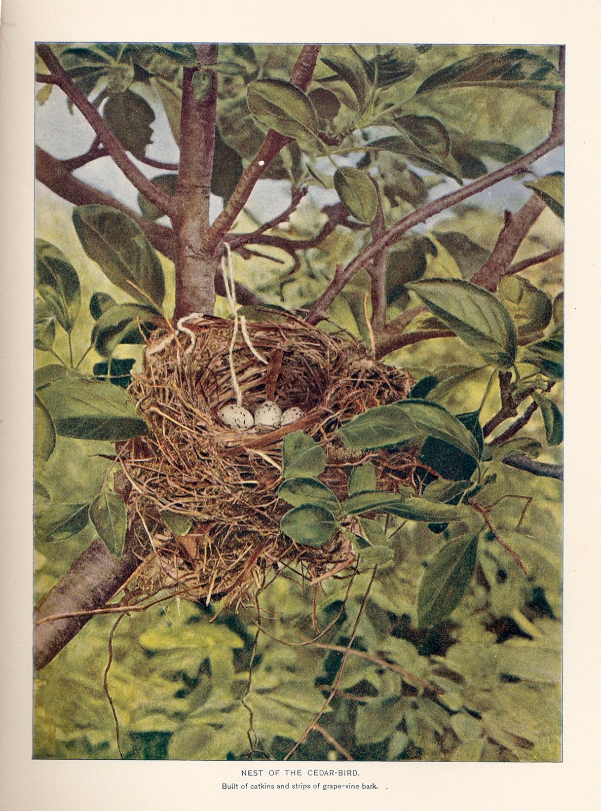 [ScannedImage-18.jpg]