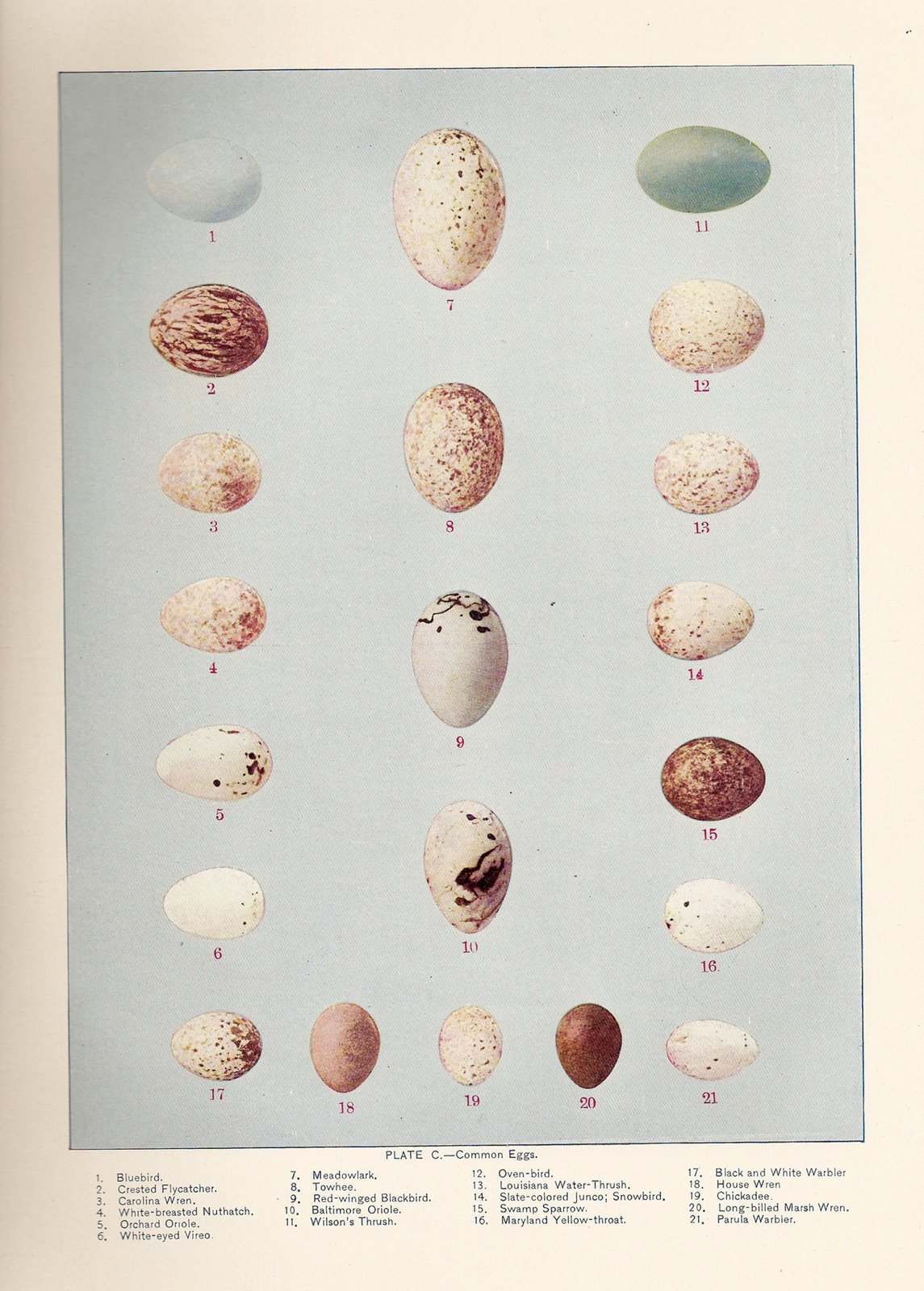 [ScannedImage-20.jpg]