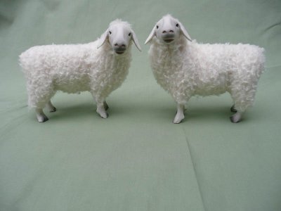 [slovenia+sheep.jpg]