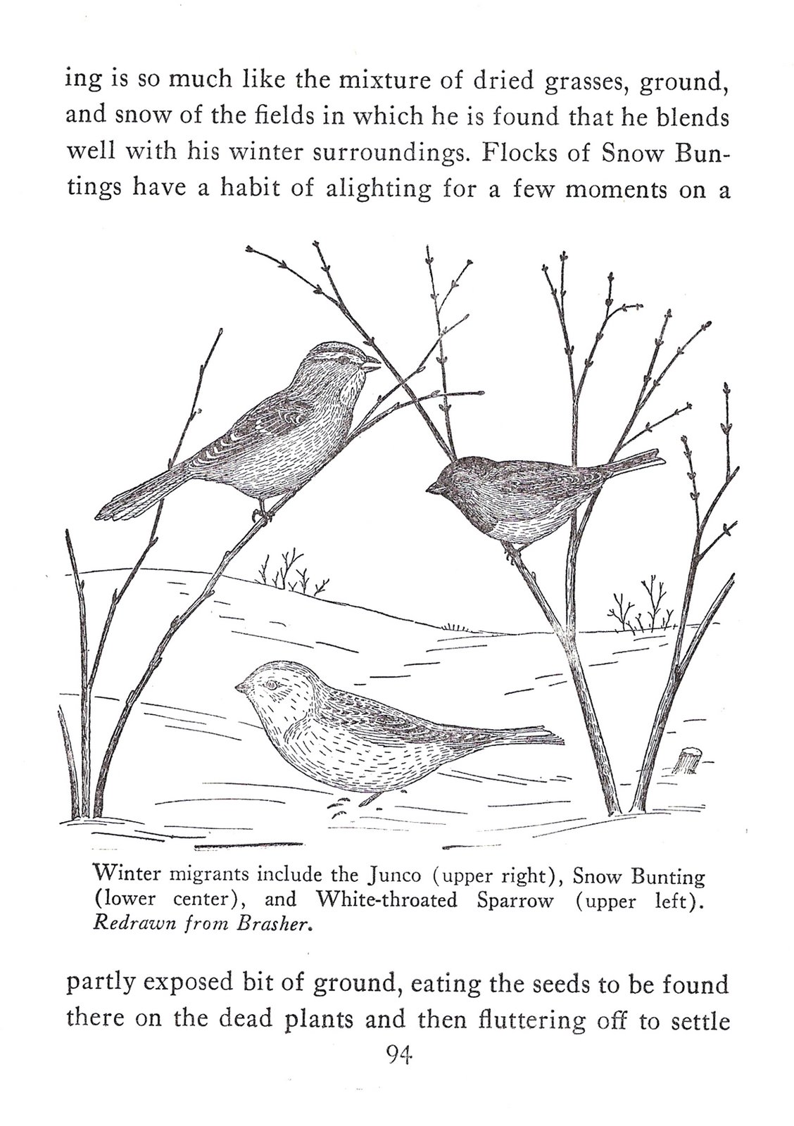 [ScannedImage-23.jpg]