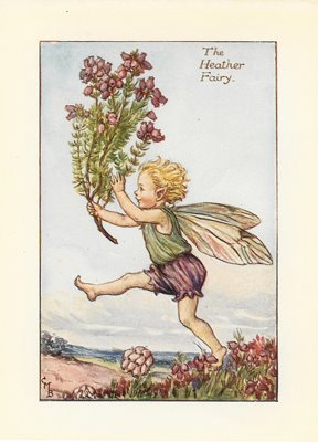 [HeatherFairy.jpg]