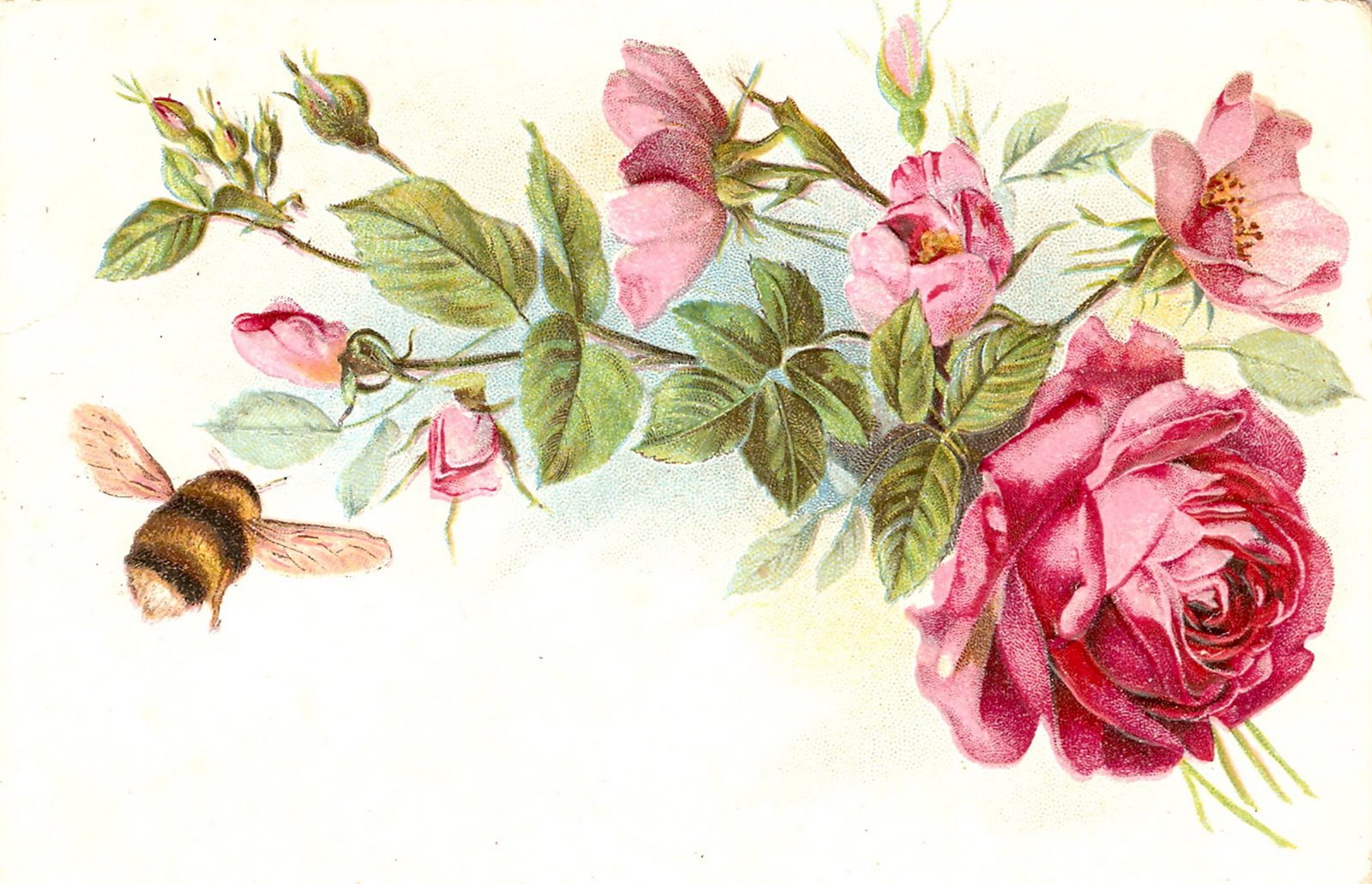 [ScannedImage-10.jpg]