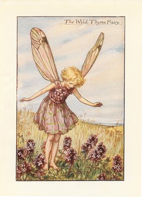 [WildThymeFairy.jpg]