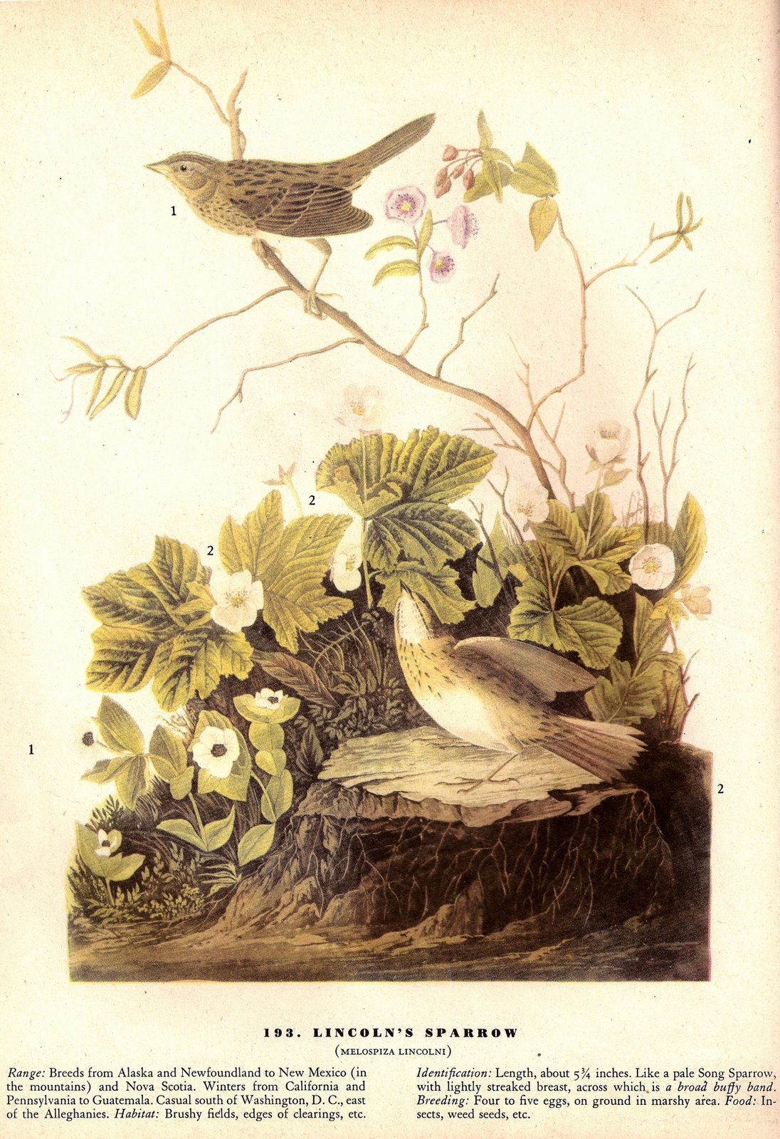 [ScannedImage-4.jpg]