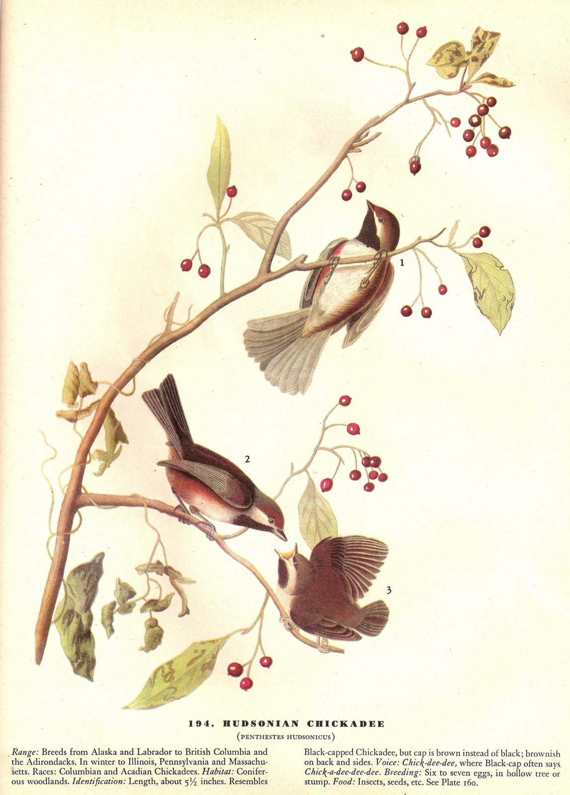 [ScannedImage-5.jpg]