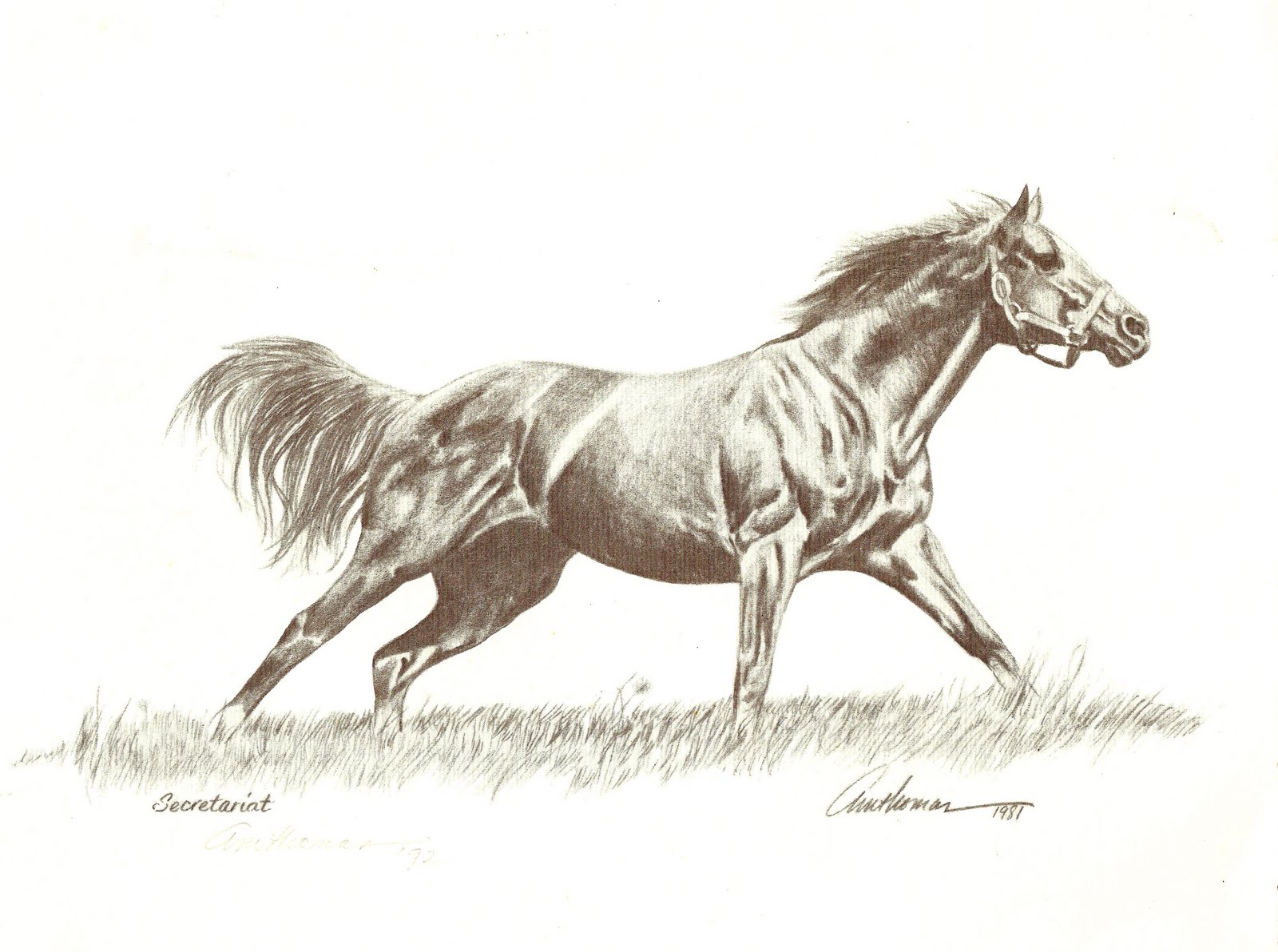 [ScannedImage-4.jpg]