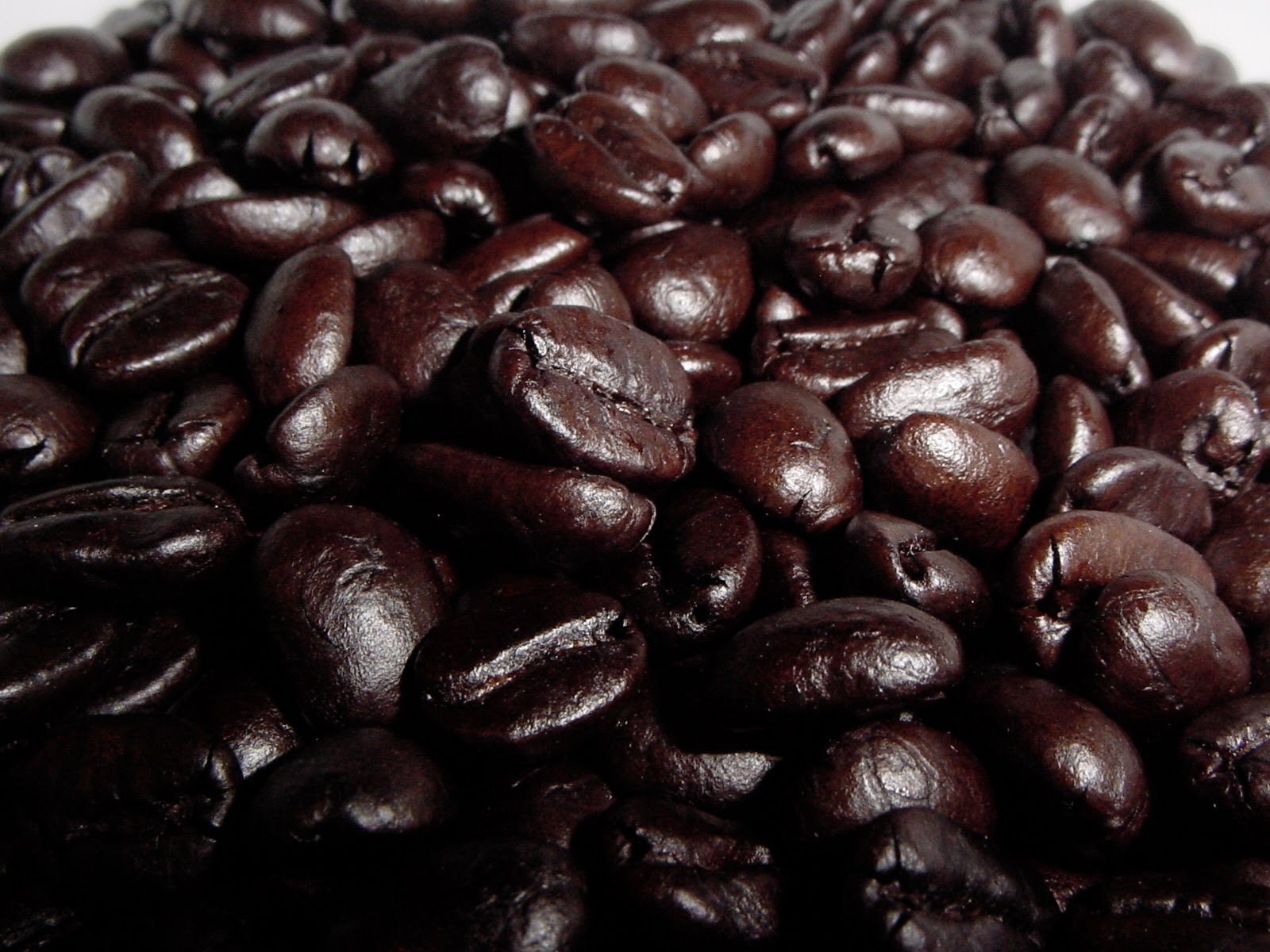Articles and Informations about Coffee Dark Roasted Coffee is more Stomach Friendly