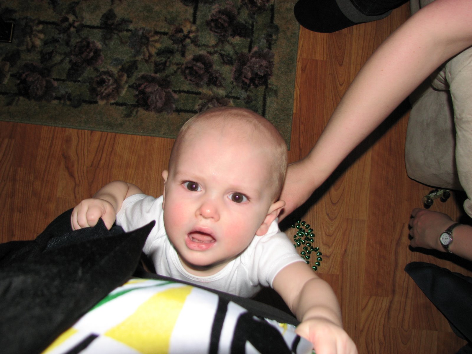 [Warren+and+Lucian+Auntie+Jen+30th+110.jpg]
