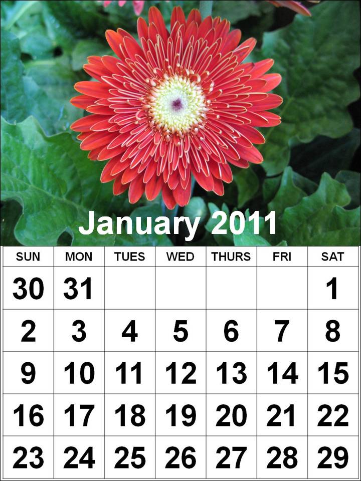 january-calendar-word