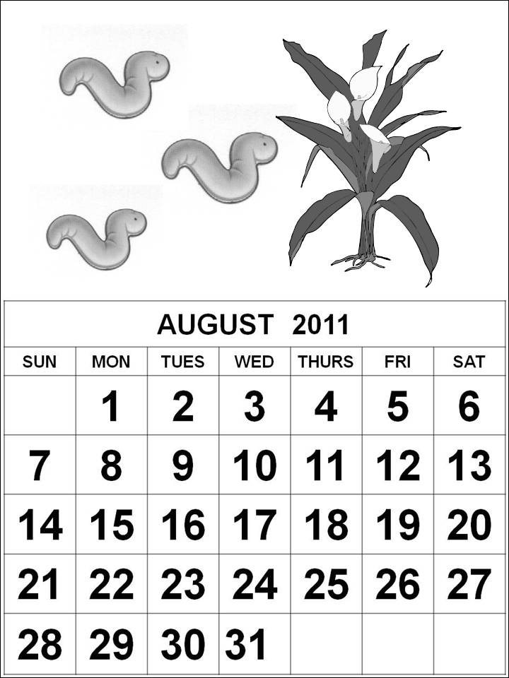 Lunar year worksheets activities soon coming nonylohan: moon phases worksheet for kids