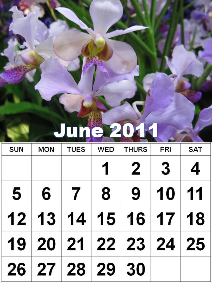 june 2011 calendar. june 2011 calendar page. june