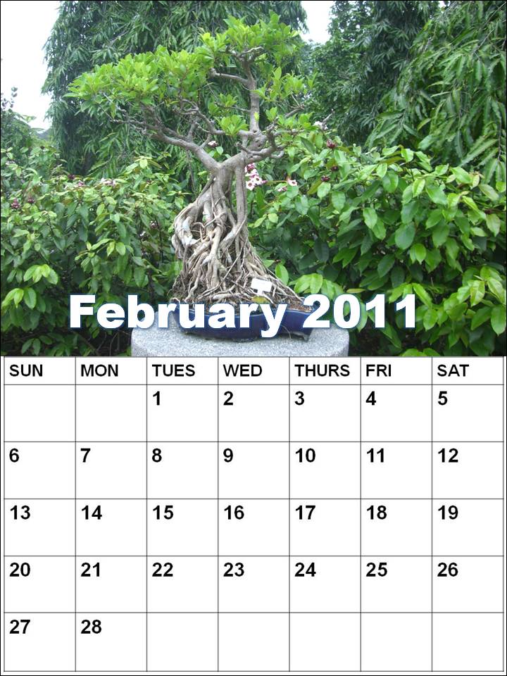 News and Hairstyles: february 2010 printable calendar