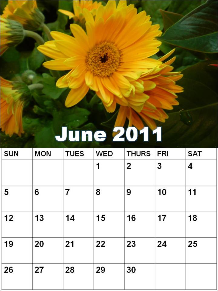 june calendars 2011. do Calendar+for+2011+june
