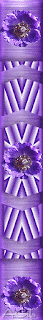 48.gif