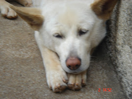 ○○○○○○○○○○○○○○○○