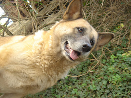 ○○○○○○○○○○○○○○○○