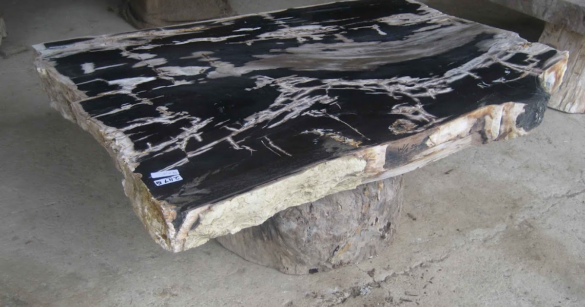 Endurance Car Insurance >> home and garden: PETRIFIED WOOD TABLE TOP Endurance Car Insurance >> home and garden: PETRIFIED WOOD TABLE TOP