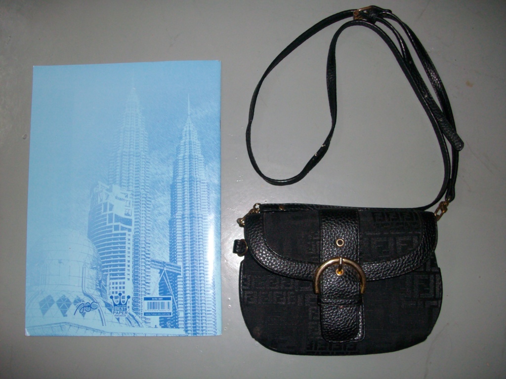 BUDGETCOOLBUNDLE....BUNDLE HUNTER... Fendi sling bag