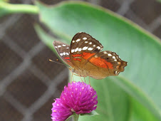 DE AMBIENTE CON EL PERIODISMO