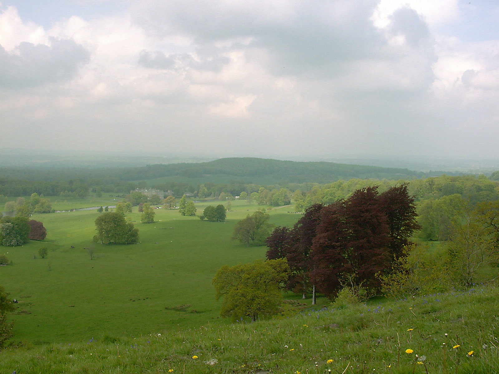 geraldgee A Wiltshire landscape