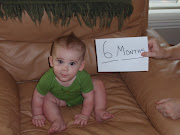 6 months old