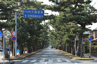 松並木