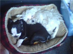 brother and sister