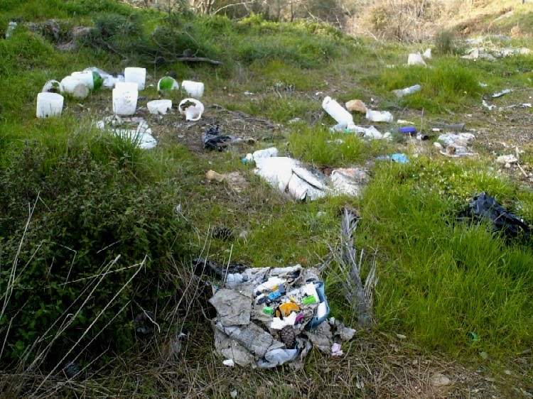 [Estrada++Paradela+lado+esquerdo.JPG]