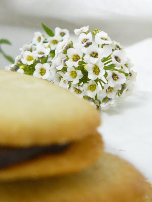 receta de las clásicas lenguas de gato, rellenas de ganache de chocolate 1