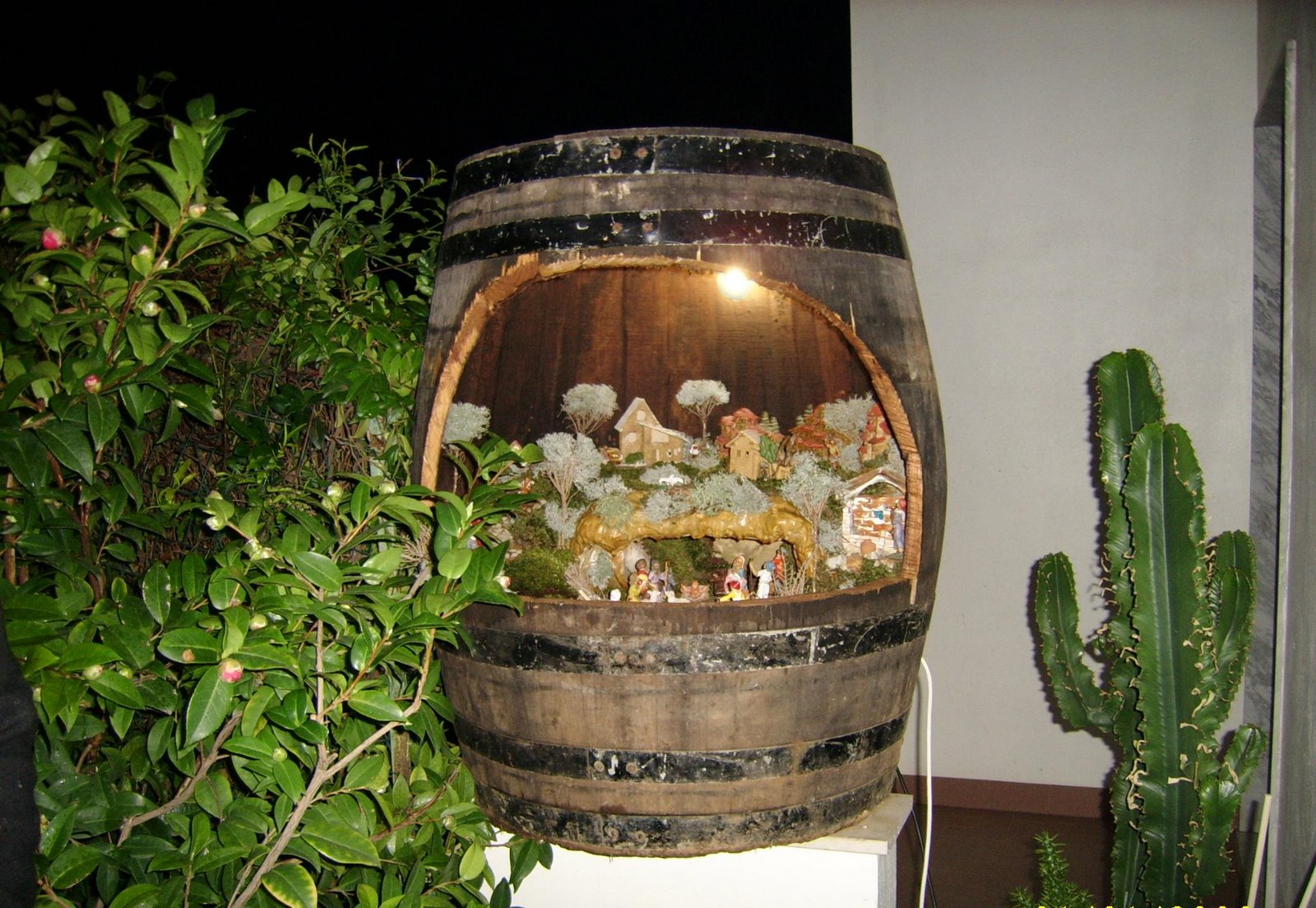 [3Â°+classificato+SSA54984.JPG]