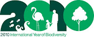 UN Biodiversity Logo