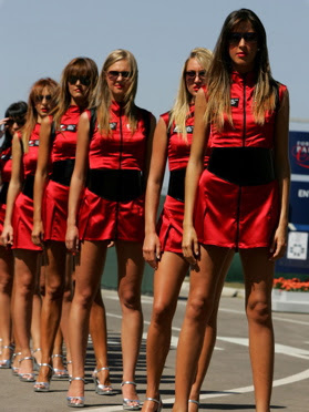Sexy Paddock Girls