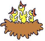 [oiseaux-oisillons-4.gif]