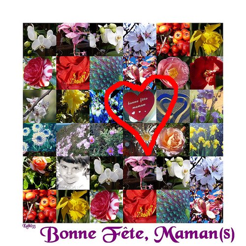 [2519908795_e176de39fd.jpg]