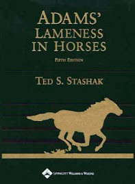 Adam´s Lameness In Horses written by Ted S. Stashak