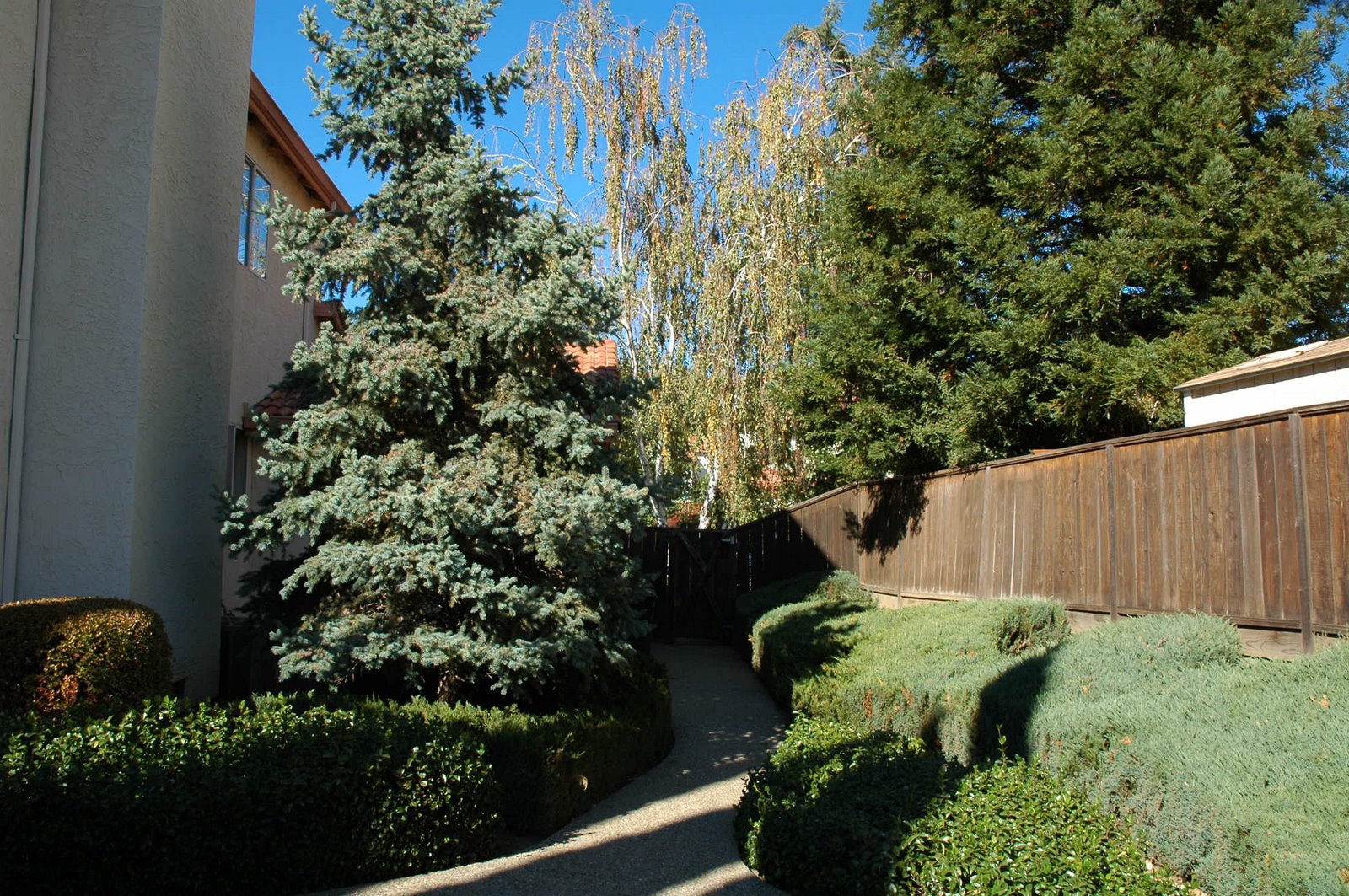 Signature Homes & Estates 100 La Encinal Ct. Clayton, CA