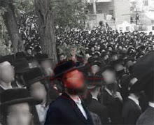 private invesigations: CIA Investigates Its Partnership With NYPD