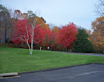 Fall at Old Towne