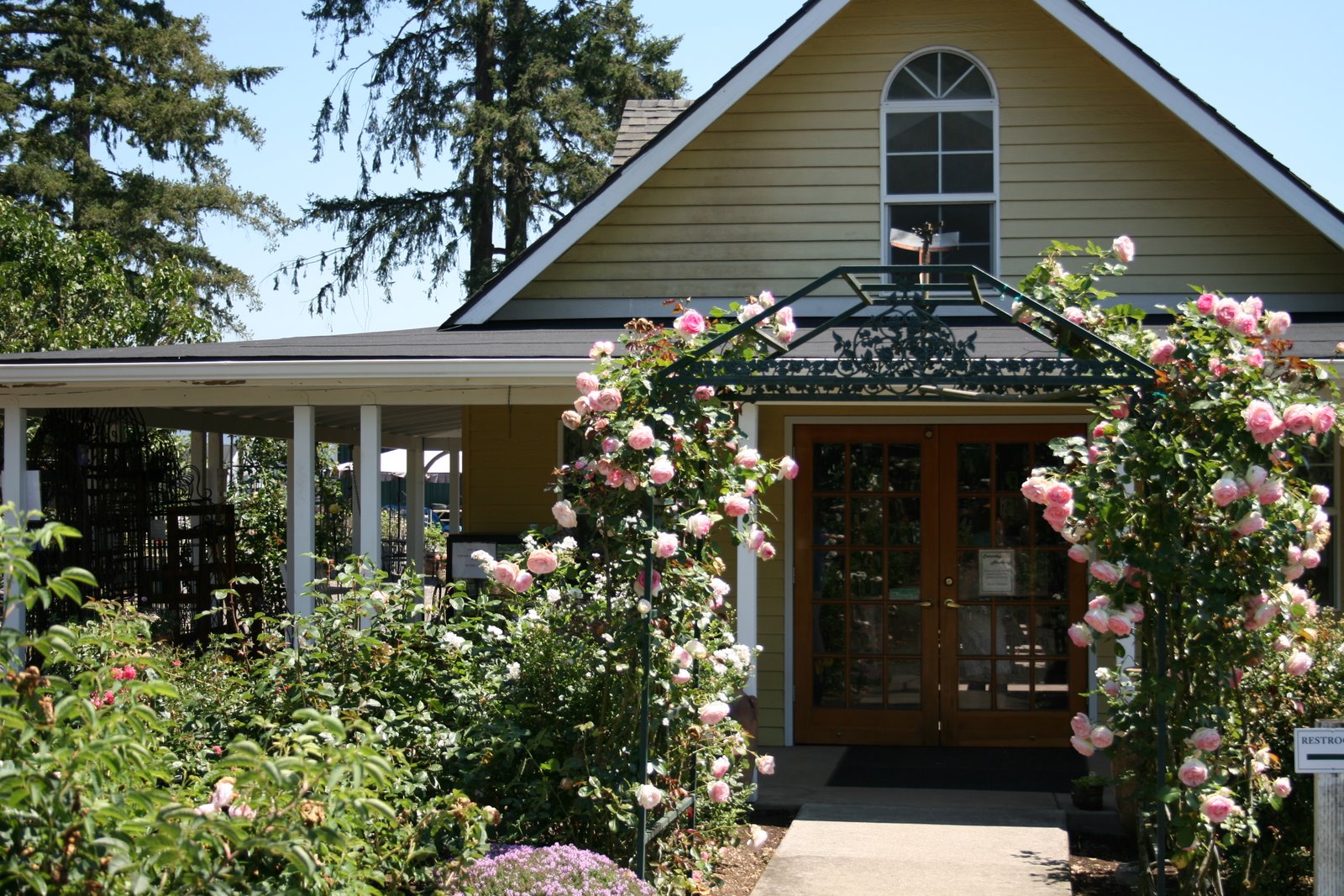 Delights of the Heart Heirloom Roses